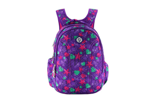 Large Capacity Multi Compartment Casual Backpack For Female