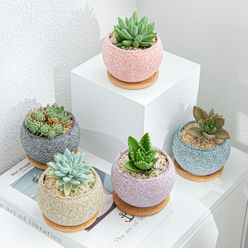 Mini Ceramic Potted Small Artificial Succulent