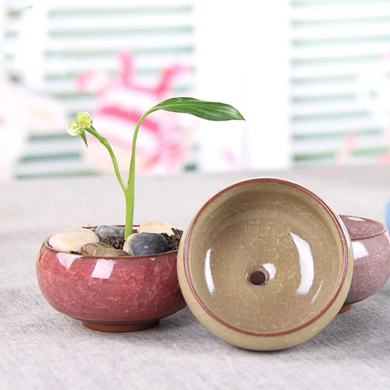 Ceramic Table Succulent Flower Pot Ceramic Succulent Pot