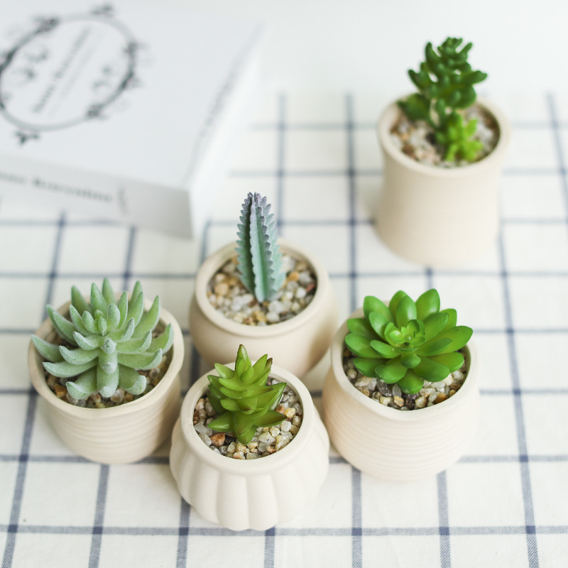 Wholesale Home Decorative Modern Ceramic Flower Pots For Indoor Plants
