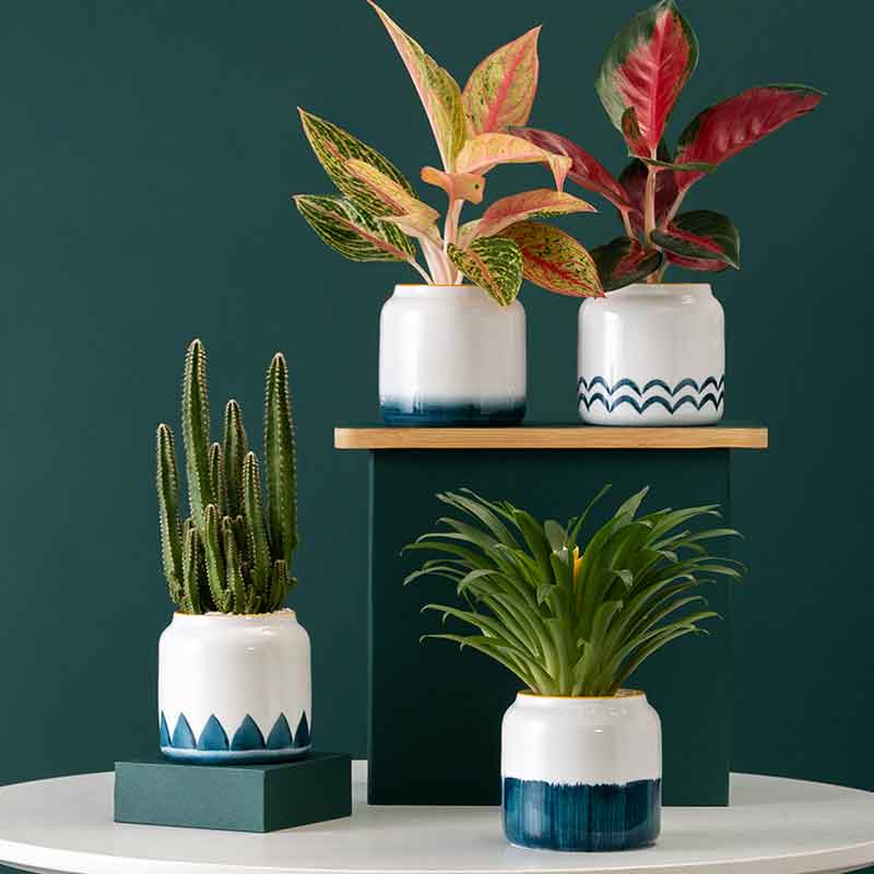 New Design Outdoor Indoor Garden Decorative Nordic Round Succulent Planter Ceramic Plant Flower Pots
