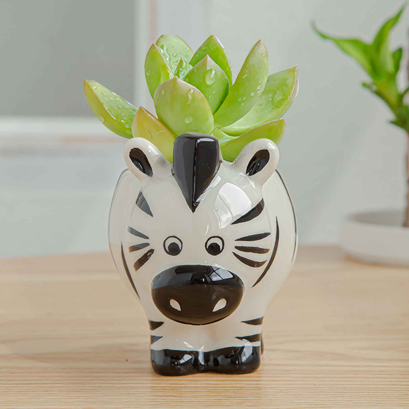Fashion China Wholesale Garden Supplies Mini Bonsai Ceramic Pot For Succulent Flower Plant For Decor