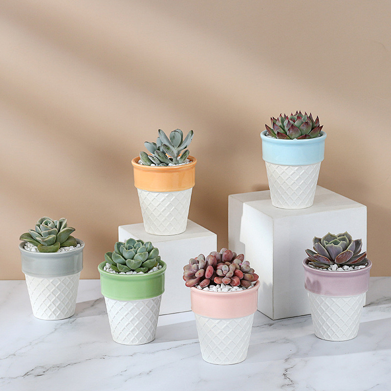Modern Glazed Ceramic Plant Pots Indoor Decorative Custom Flower Pot Sizes