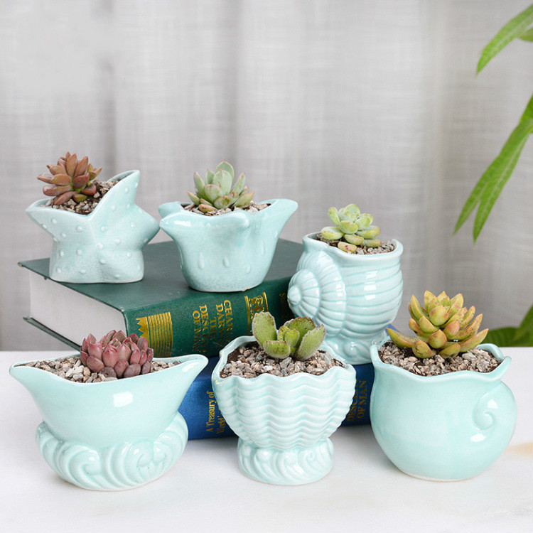Ceramic Indoor Tabletop Fashion Cute Sea Animals Flower Pot
