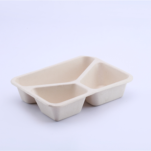 Disposable Bagasse Tray for Food