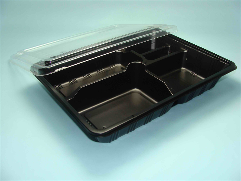 Disposable Plastic Take Away Fast Food Container