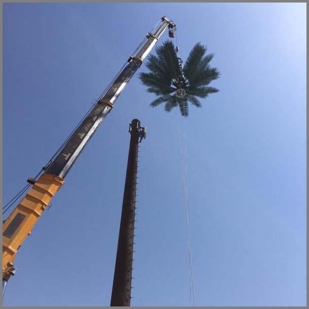 30m Palm Tree Tower